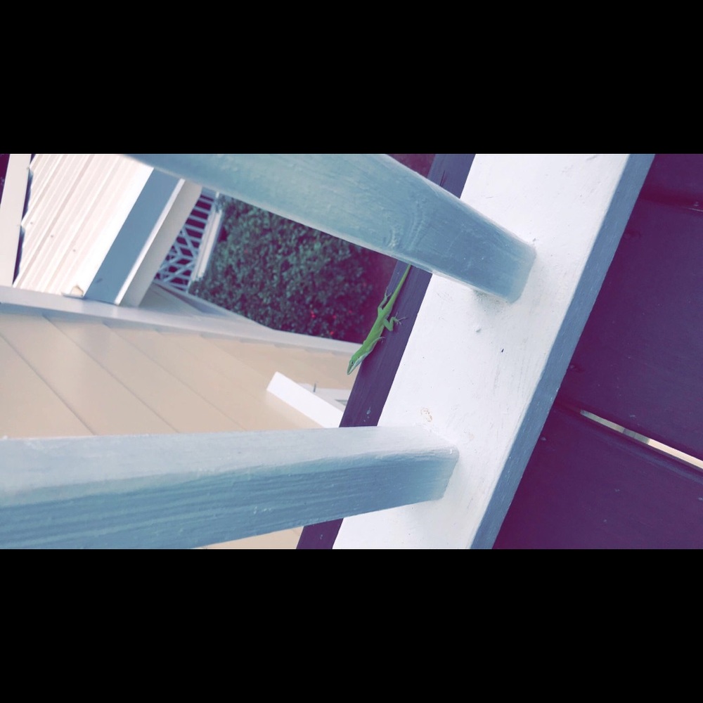 Meet your Posher, Adrien